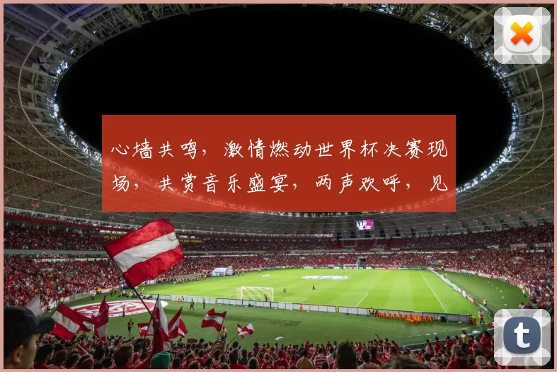 心墙共鸣，激情燃动世界杯决赛现场，共赏音乐盛宴，两声欢呼，见证荣耀