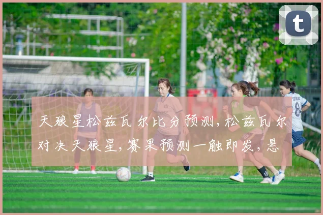 天狼星松兹瓦尔比分预测,松兹瓦尔对决天狼星,赛果预测一触即发,悬念待解